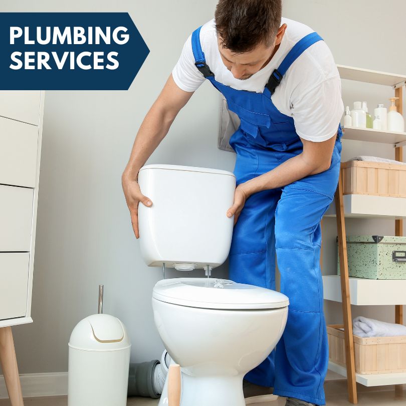 Plumbing Company in Mears, MI